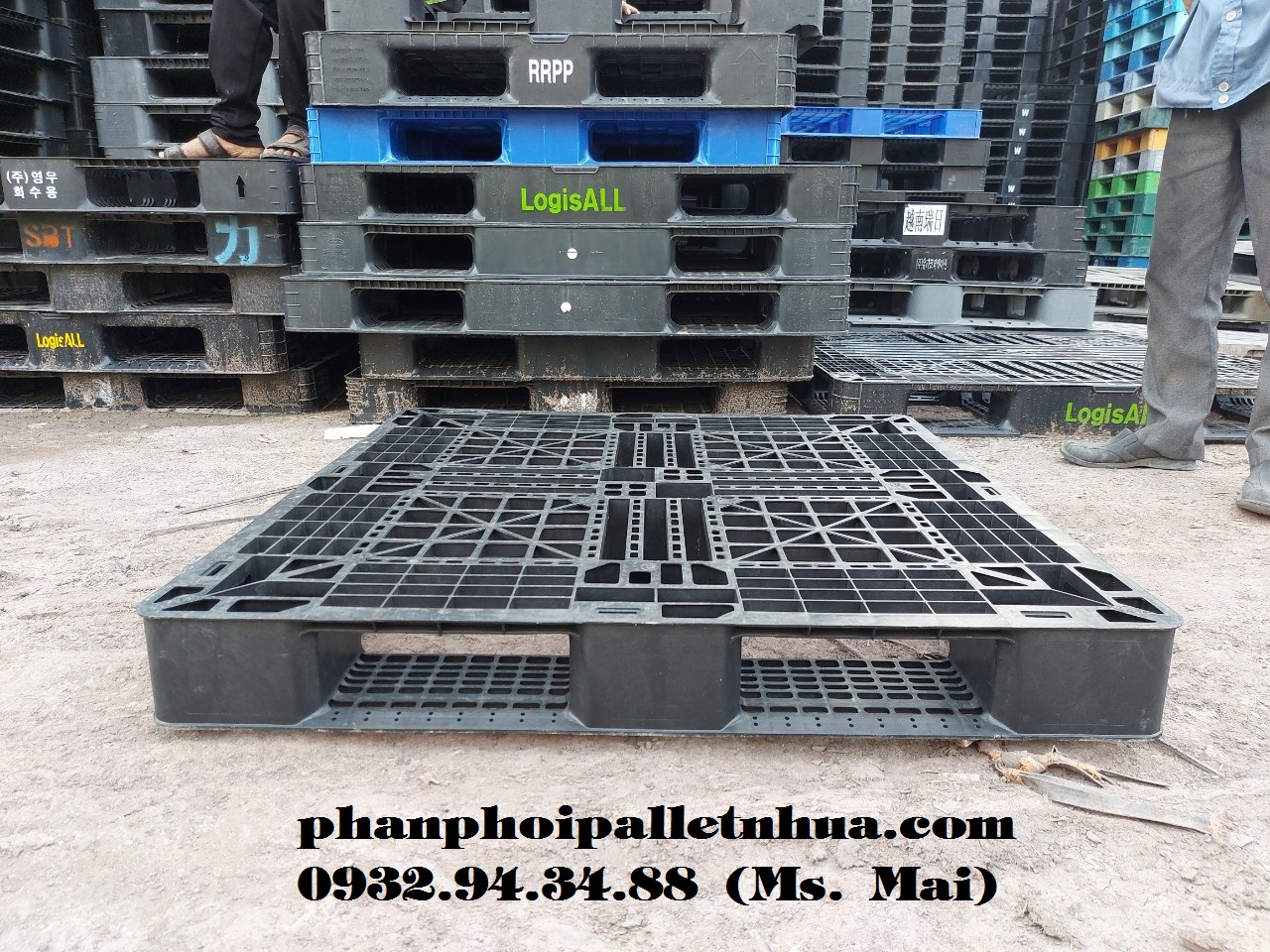 Chuyên cung cấp pallet nhựa cũ tại Bà Rịa Vũng Tàu (BRVT) với giá siêu rẻ