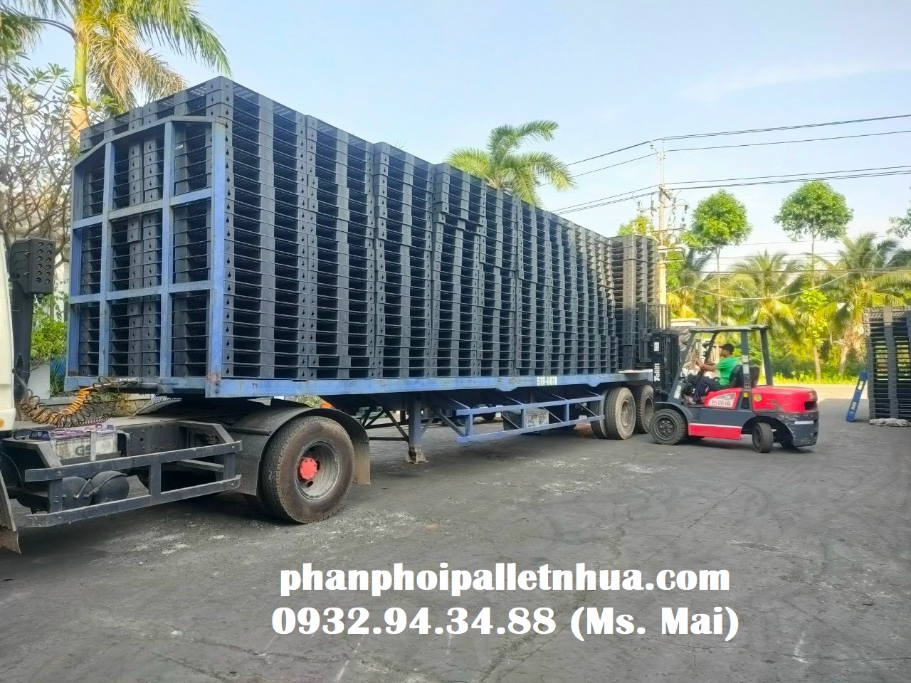 Phân phối pallet nhựa cũ tại Cà Mau, liên hệ 0932943488 (24/7)