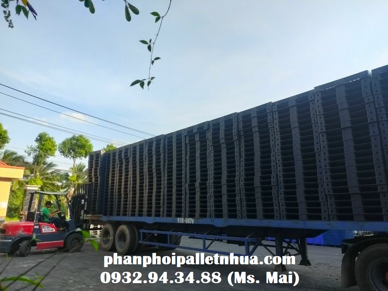 Phân phối pallet nhựa cũ tại Cà Mau, liên hệ 0932943488 (24/7)