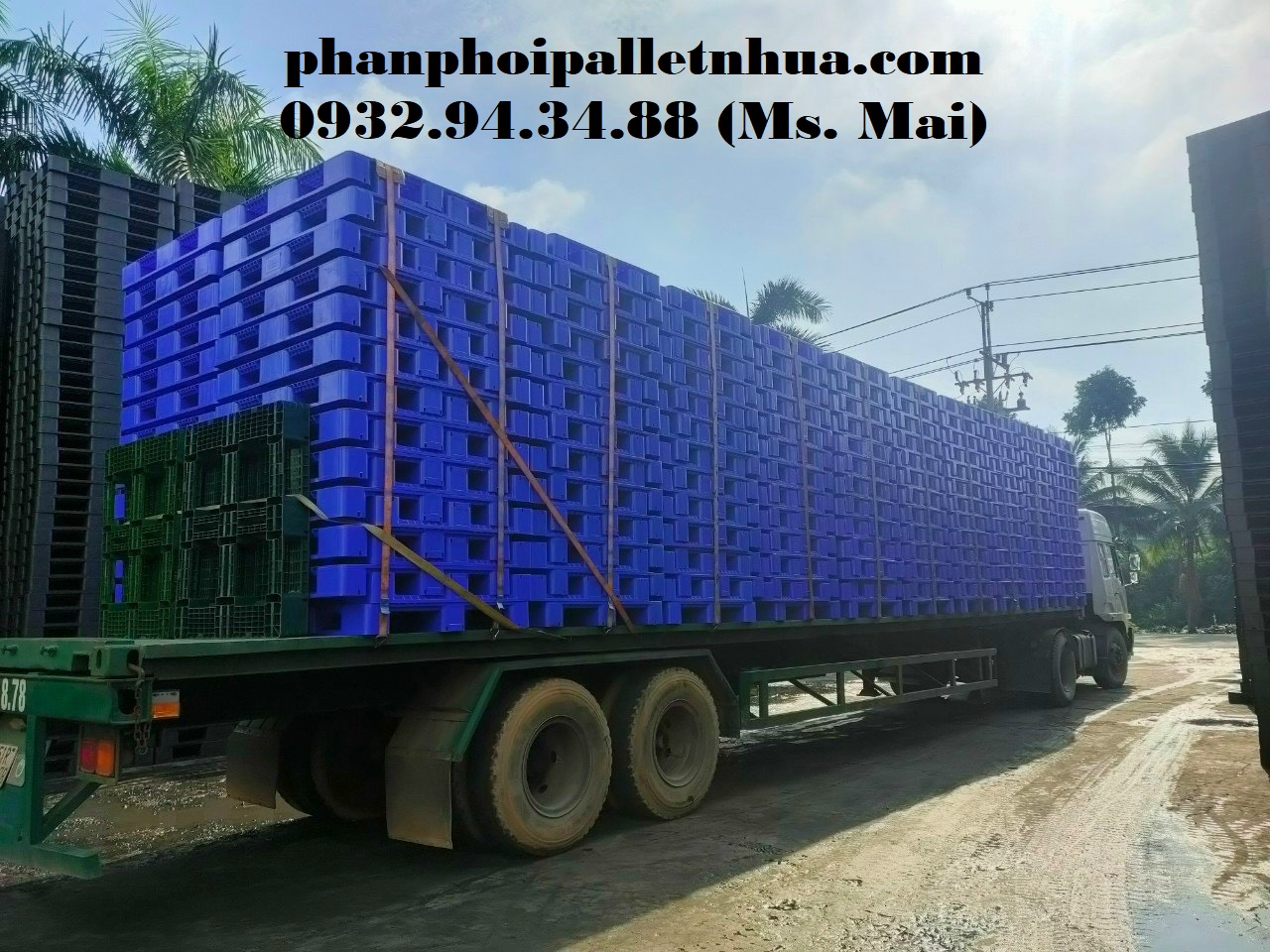 Phân phối pallet nhựa cũ tại Hải Phòng, liên hệ 0932943488 (24/7)