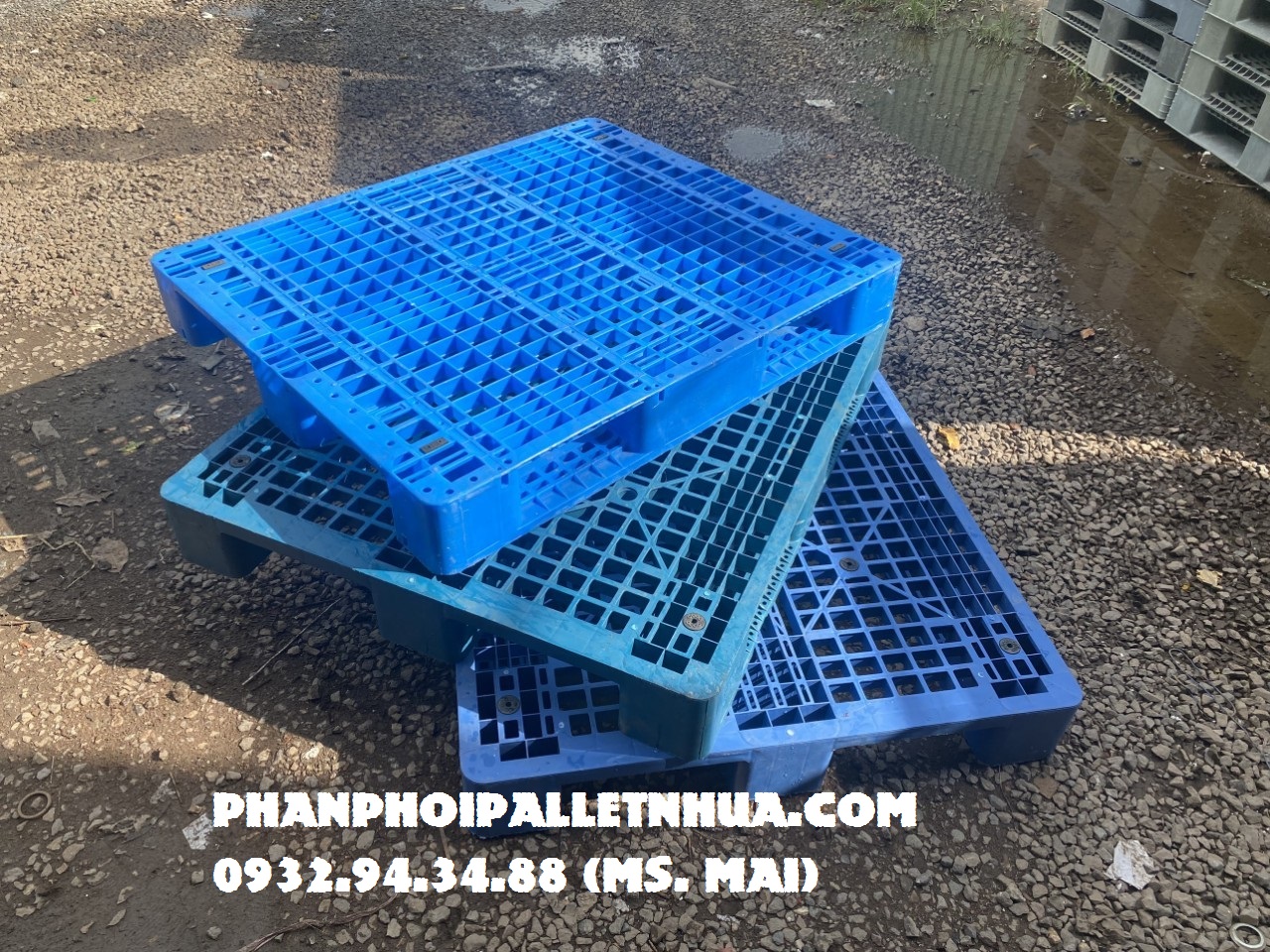 Chuyên cung cấp pallet nhựa cũ tại Lâm Đồng với giá rẻ cạnh tranh