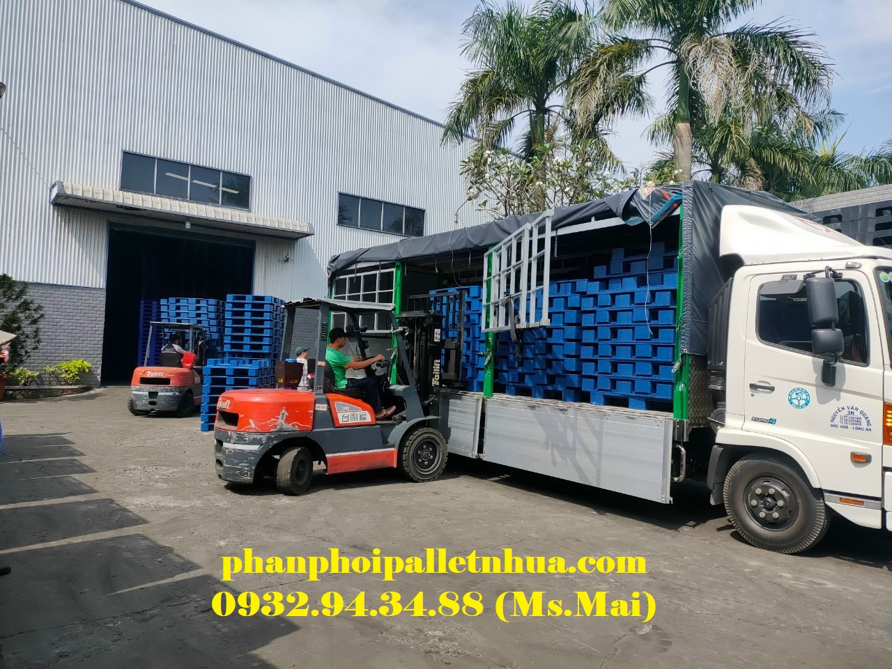 Pallet nhựa giá rẻ tại Đăk Lăk, giao hàng tận nơi