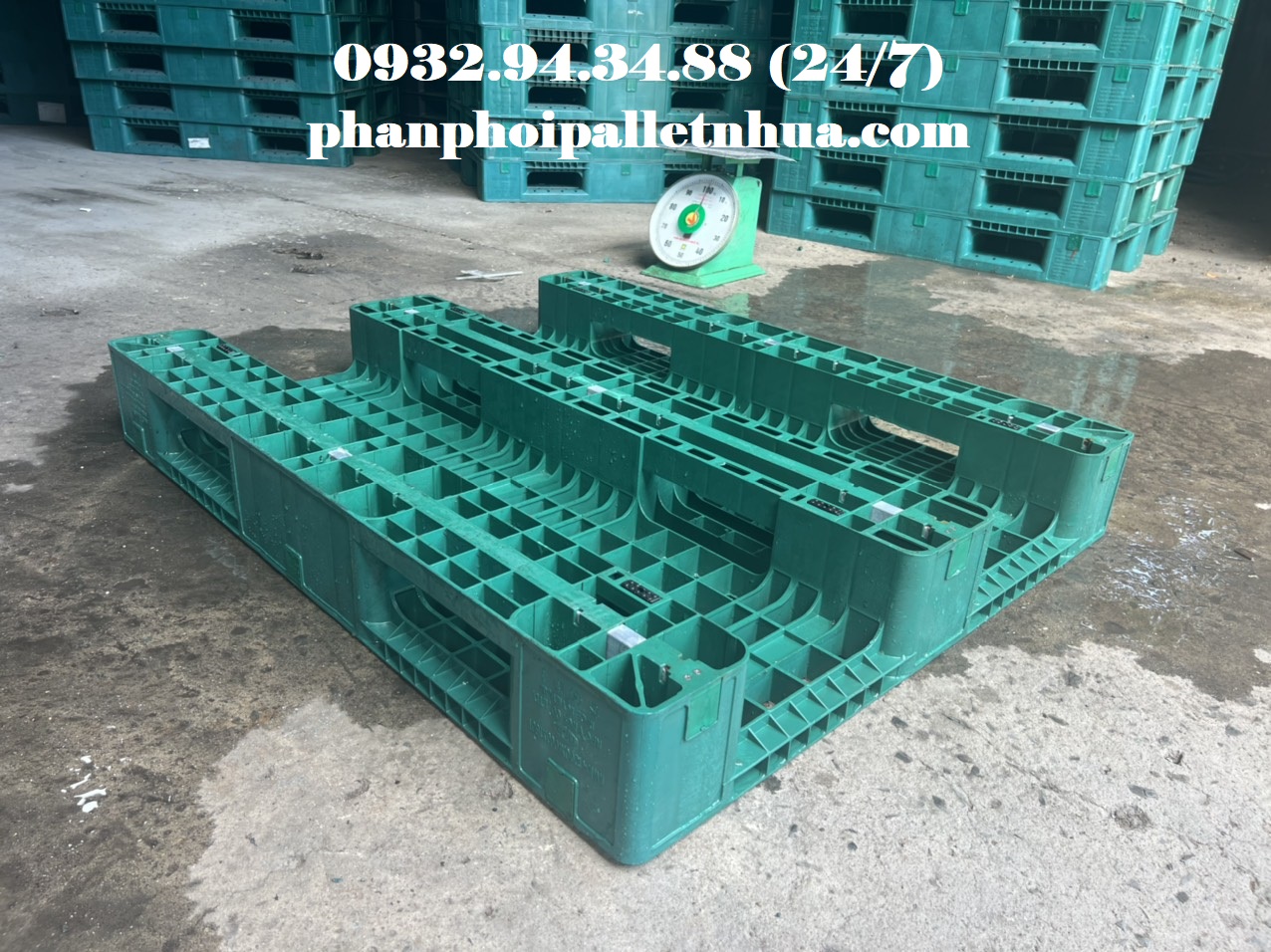 Phân phối pallet nhựa giá rẻ tại Trà Vinh,  liên hệ 0932943488 (24/7)