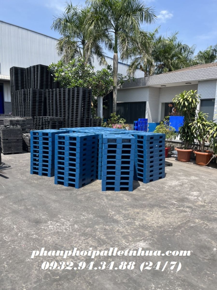 Loại pallet nhựa nào giá tốt nhất? 