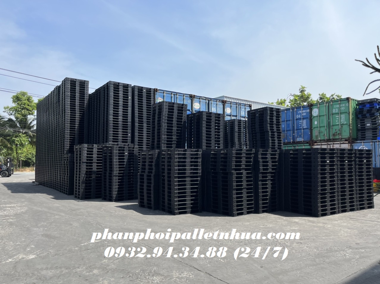 Loại pallet nhựa nào giá tốt nhất? 