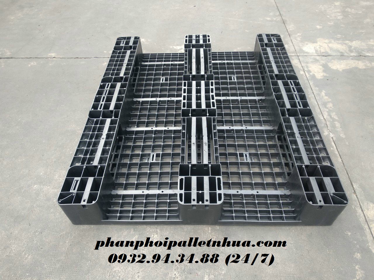 Loại pallet nhựa nào giá tốt nhất? 