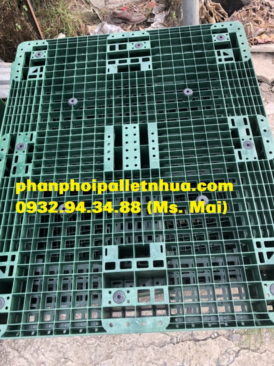 Pallet nhựa tại Hải Phòng, giao hàng tận nơi