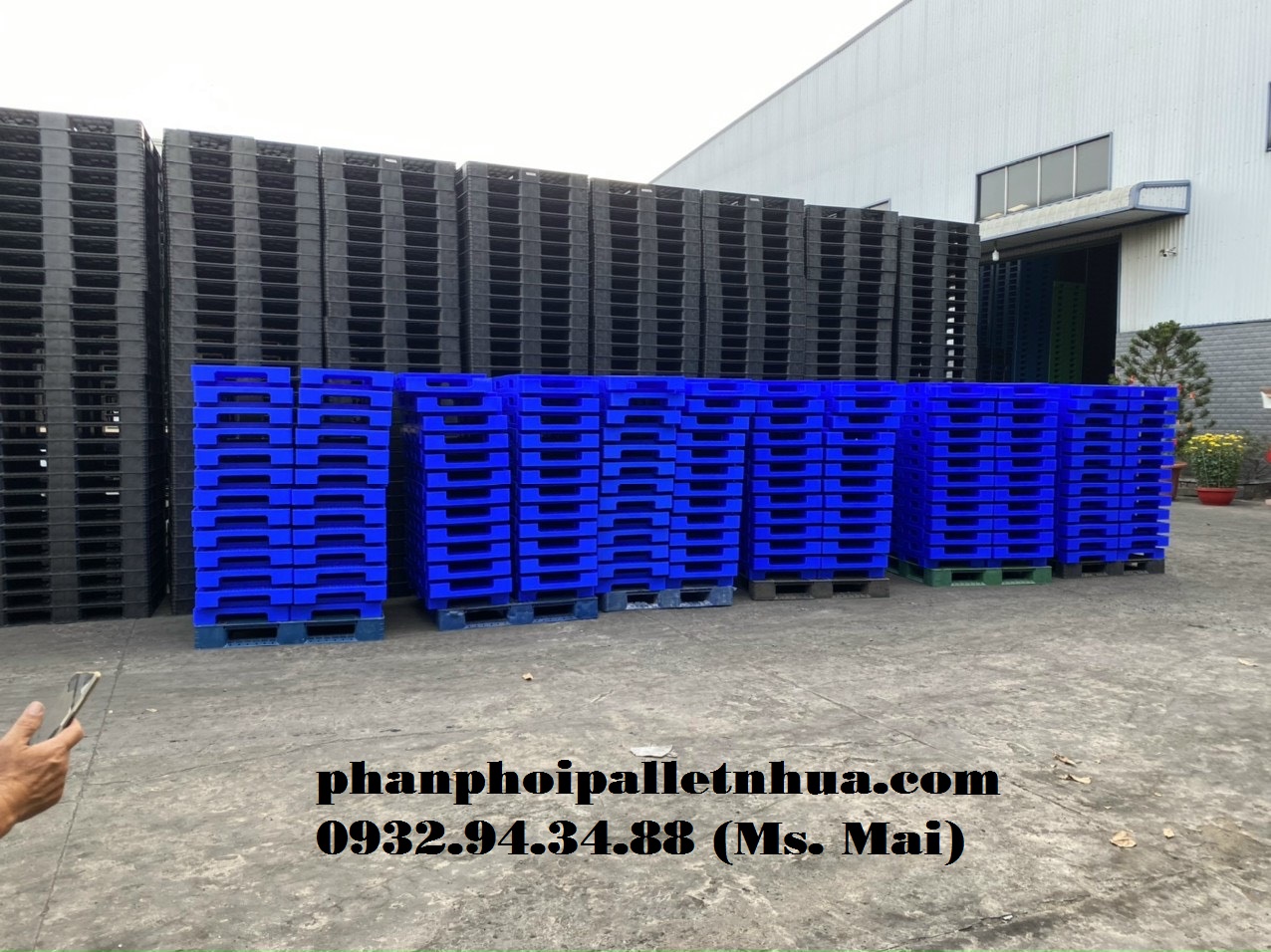 Pallet nhựa tại Quảng Bình, liên hệ 0932943488 (24/7)