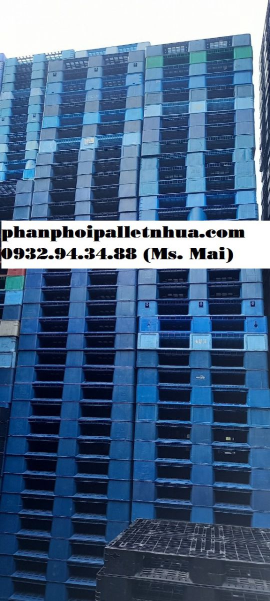 Nhà phân phối pallet nhựa tại Quảng Nam với giá siêu rẻ