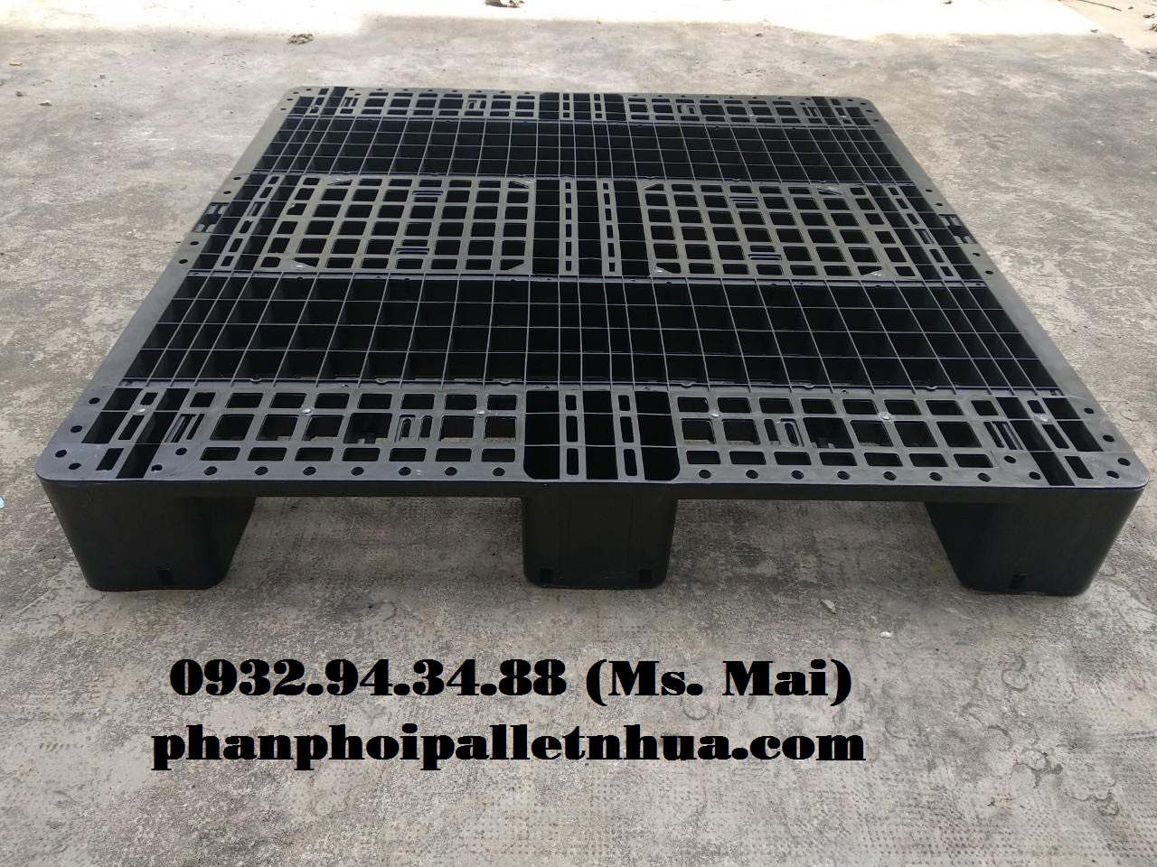 Pallet nhựa tại Hải Phòng, giao hàng tận nơi