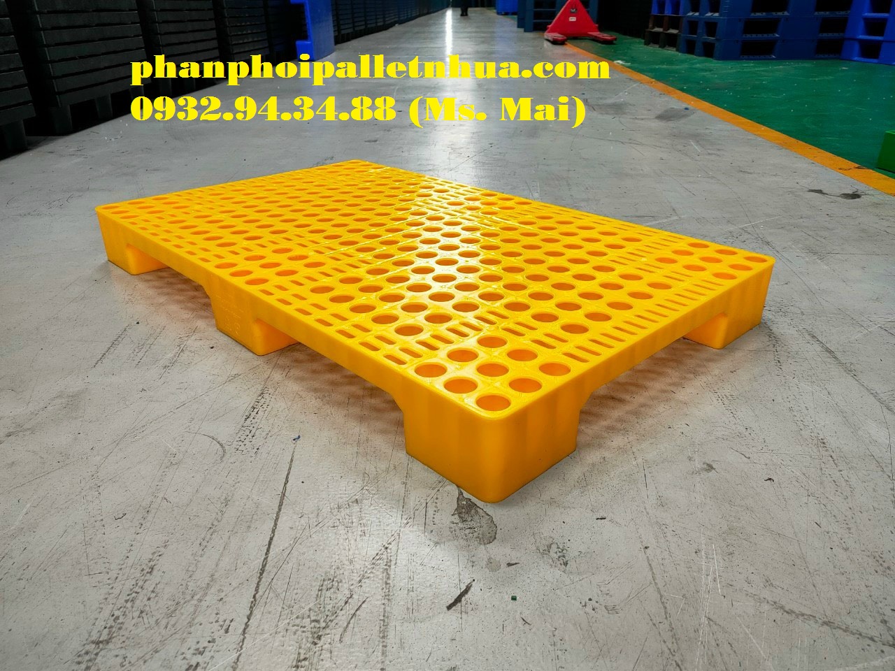 Nhà phân phối pallet nhựa tại Quảng Nam với giá siêu rẻ