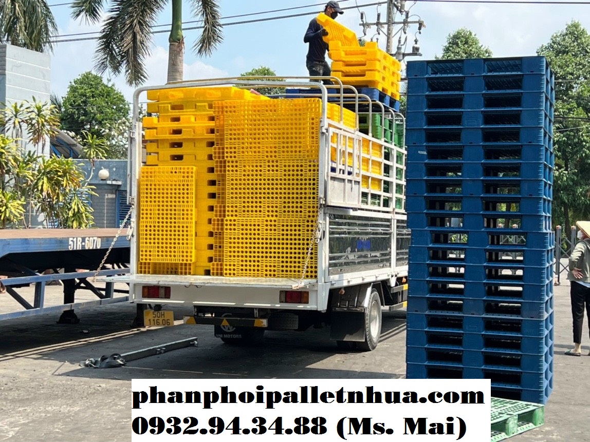 Chuyên cung cấp pallet nhựa tại Quảng Trị với giá cực rẻ trên thị trường