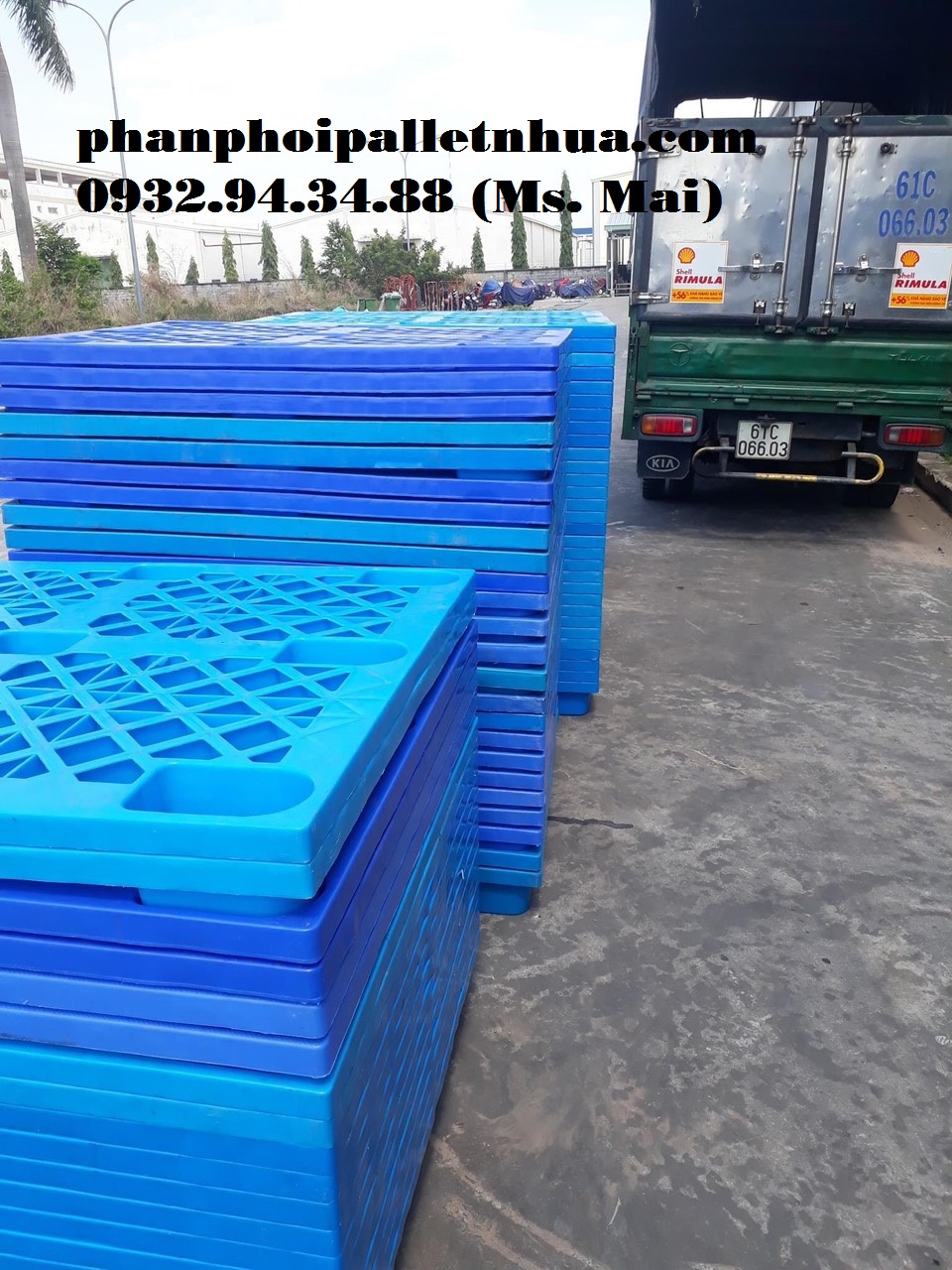 Các loại pallet nhựa được sử dụng nhiều nhất năm nay 