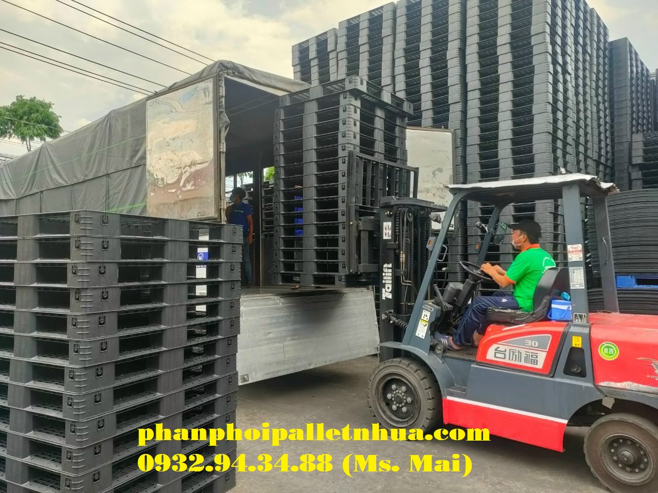 Nhà phân phối pallet nhựa tại Gia Lai uy tín, chất lượng nhất