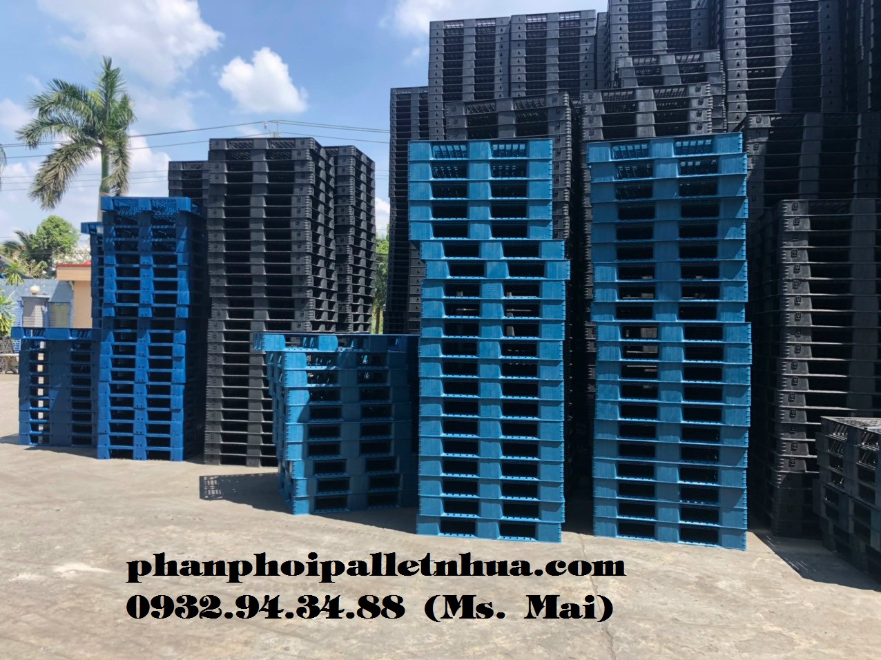 Bán pallet nhựa tại Đồng Tháp với giá rẻ cạnh tranh