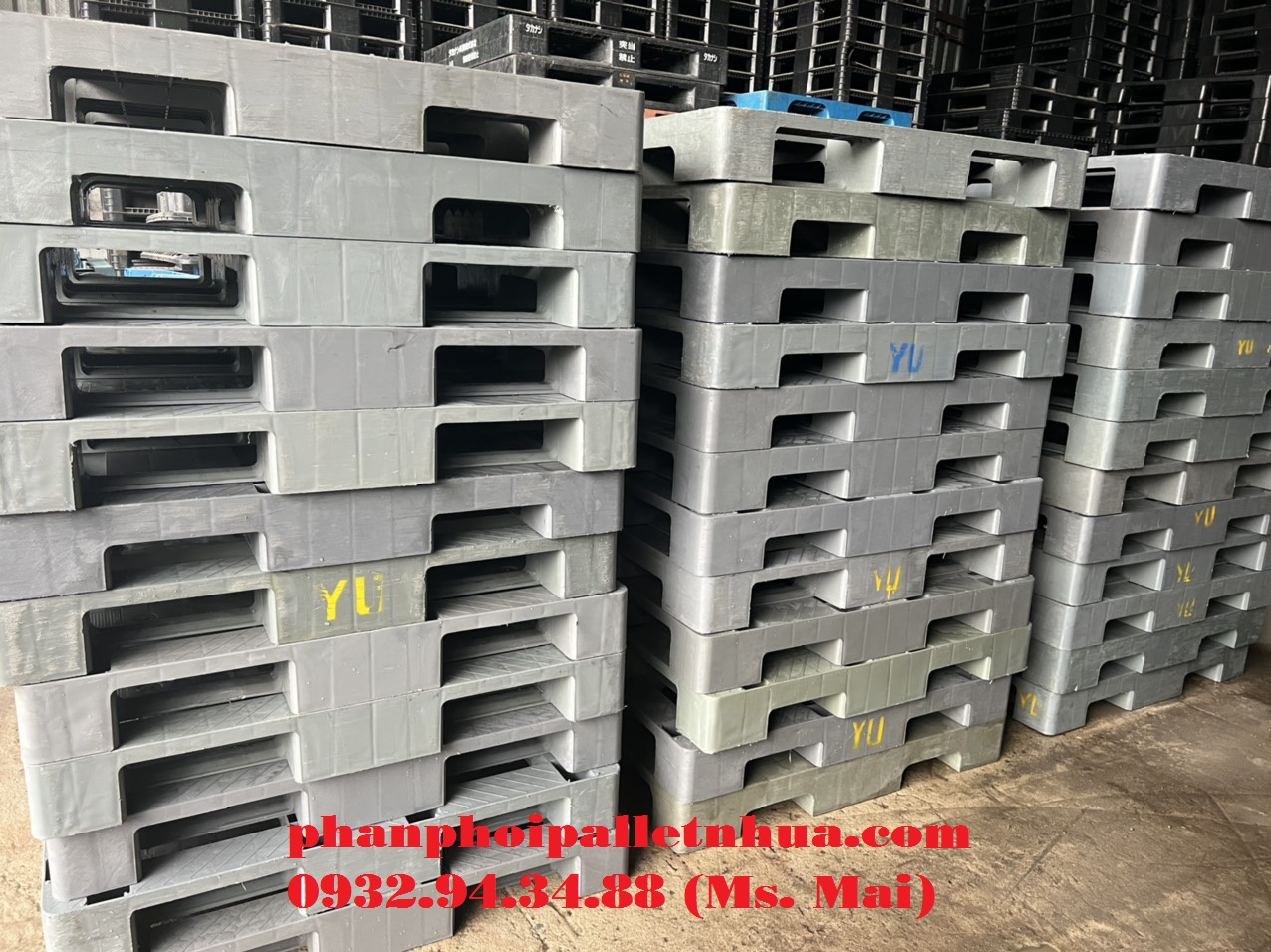 Phân phối pallet nhựa tại Ninh Thuận, liên hệ 0932943488 (24/7)