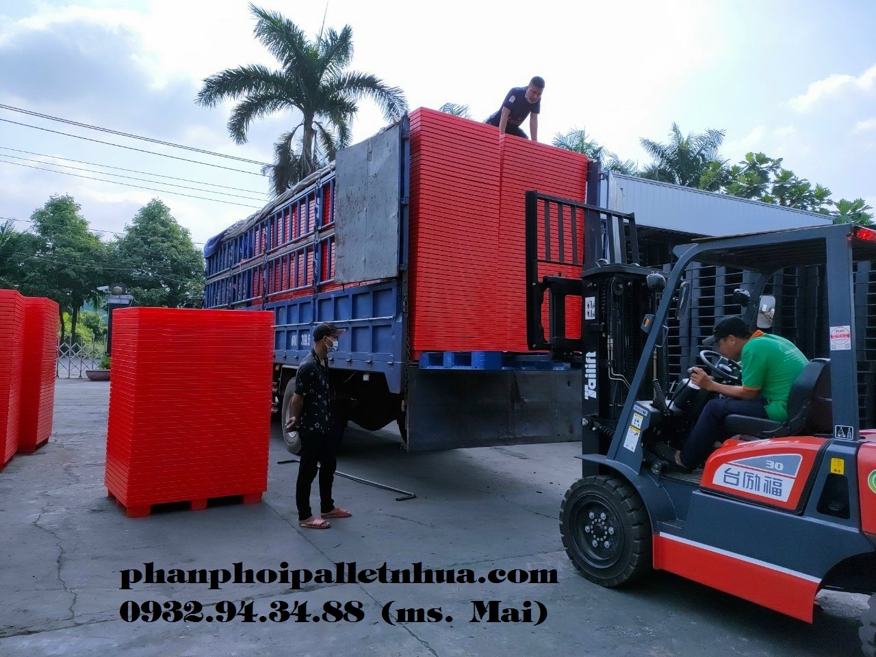 Thông tin địa chỉ cung cấp pallet nhựa tại Tiền Giang